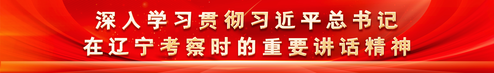 深入学习贯彻习近平总书记在辽宁考察时的重要讲话精神