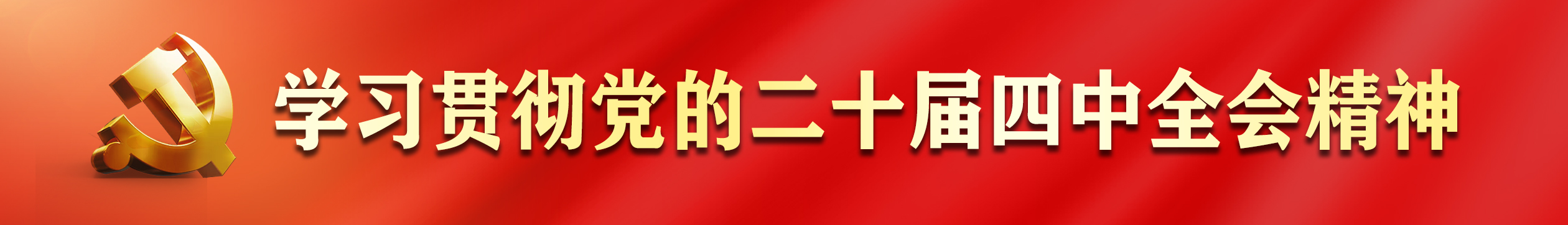 学习贯彻党的二十届四中全会精神